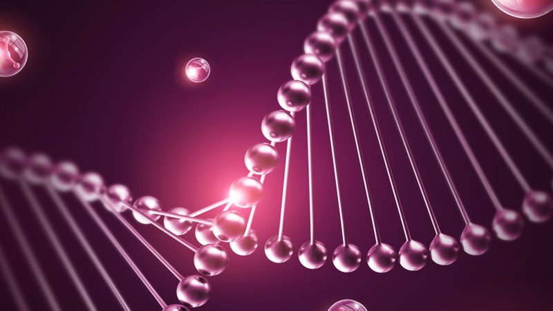 高校实验室分子生物学试剂定制