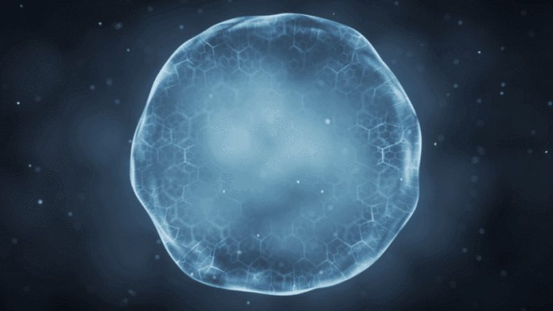 揭秘生物科技饲料：探寻排名前十的奥秘