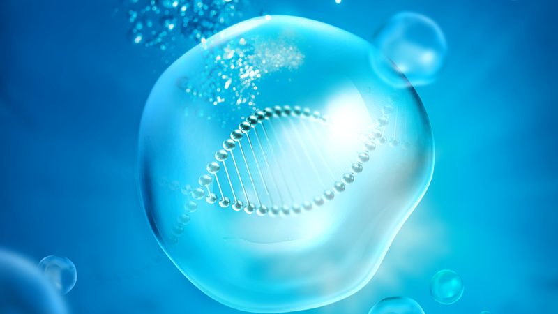 实验室耗材材质选择：揭秘背后的科学逻辑