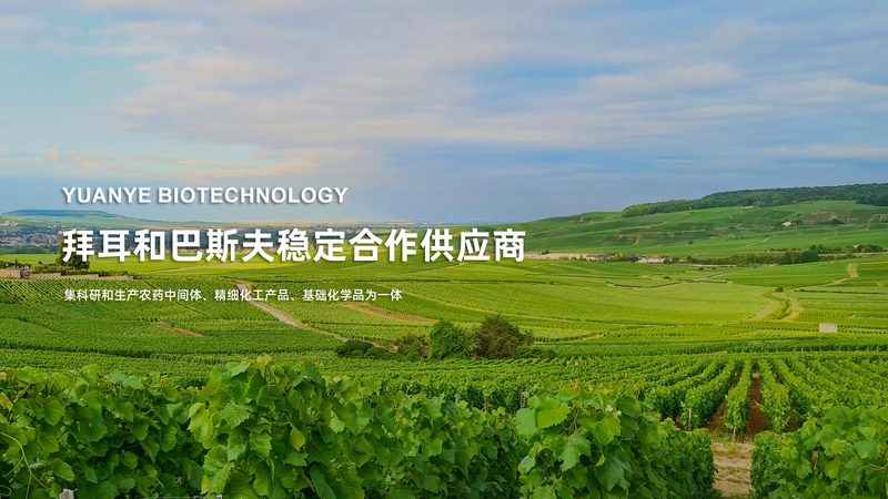 实验室耗材分类标准规范：从混乱到有序的行业进阶