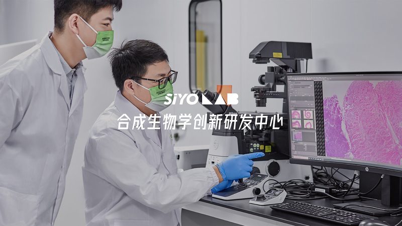 DNA引物合成：揭秘其报价背后的关键因素