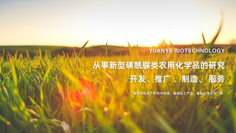 生物制品注册申报，这些材料清单你不可不知**
