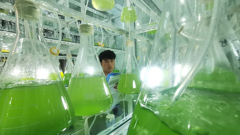 单克隆抗体生产：如何选择可靠的上海生产公司**